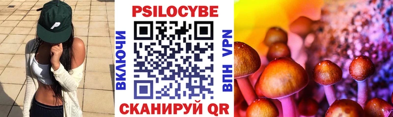 как найти наркотики  Кудрово  Псилоцибиновые грибы Cubensis 