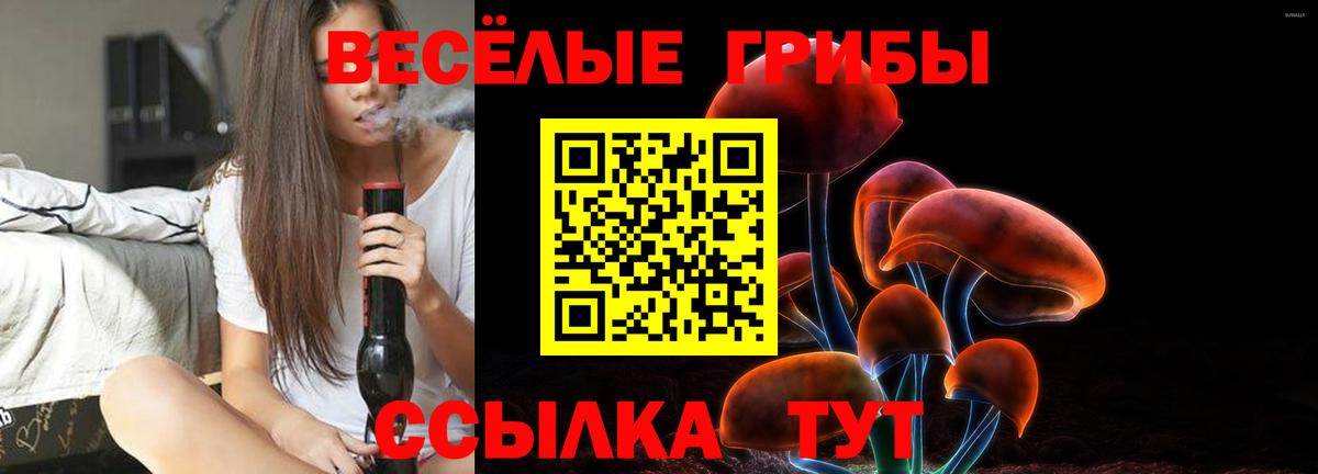 Псилоцибиновые грибы MAGIC MUSHROOMS  Псилоцибиновые грибы мицелий  Вход с VPN  Кудрово 