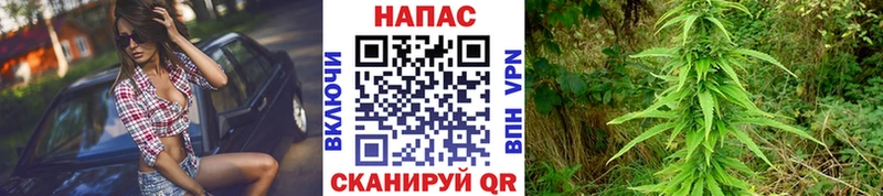 KRAKEN рабочий сайт  наркотики  Кудрово  Бошки марихуана ГИДРОПОН 